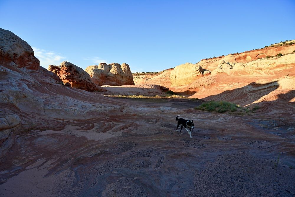 Plenty of room for a stroll