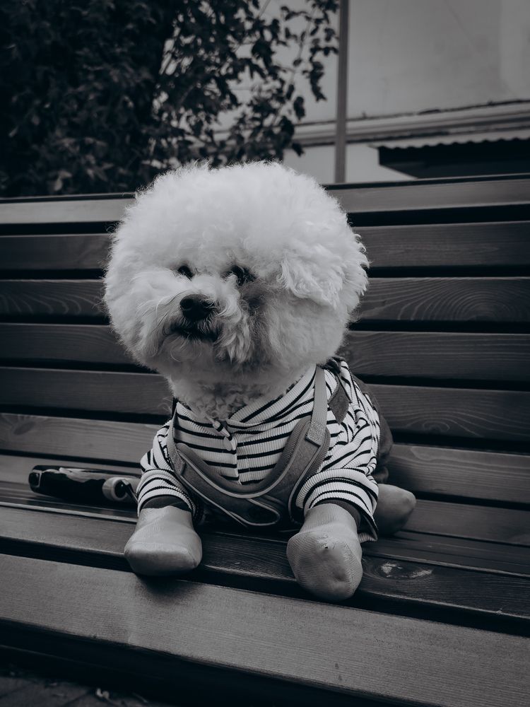 Photograph by Алёна Горошко