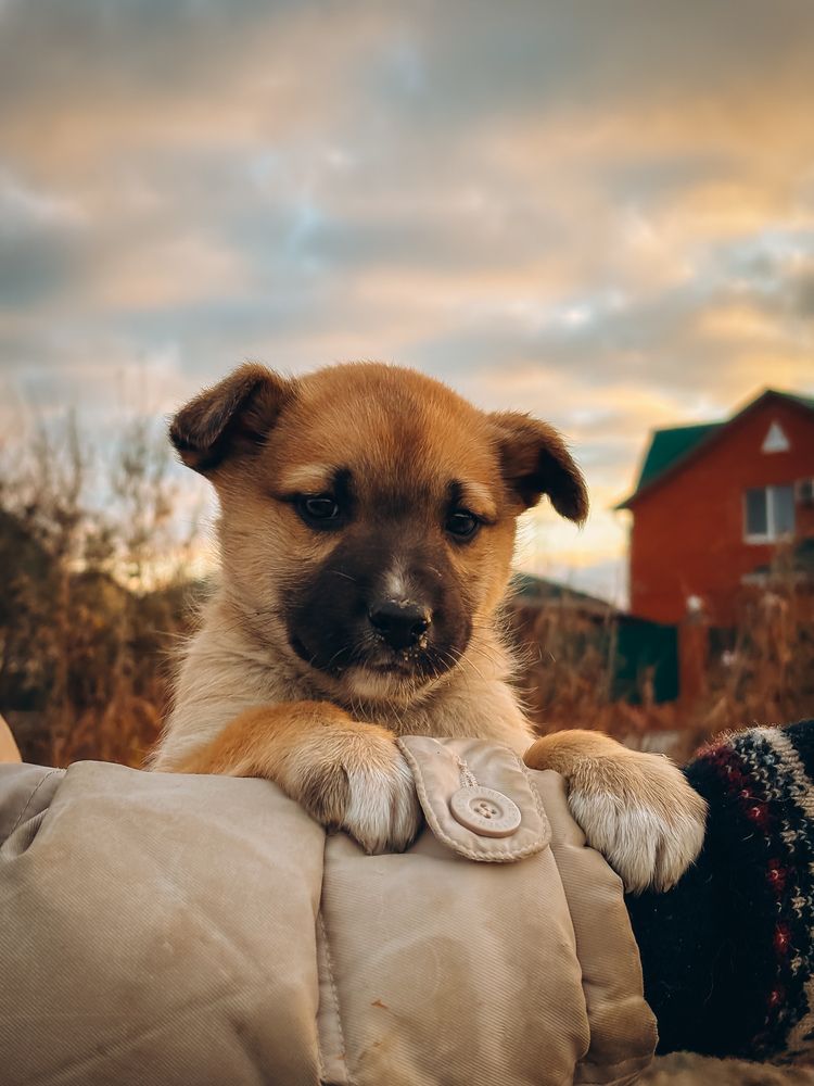 Photograph by Алёна Горошко