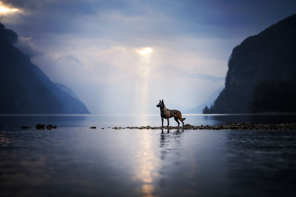 Photograph by karin bruhin