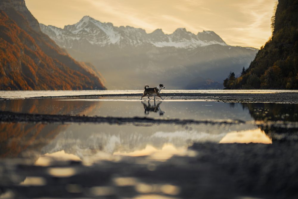 Photograph by karin bruhin