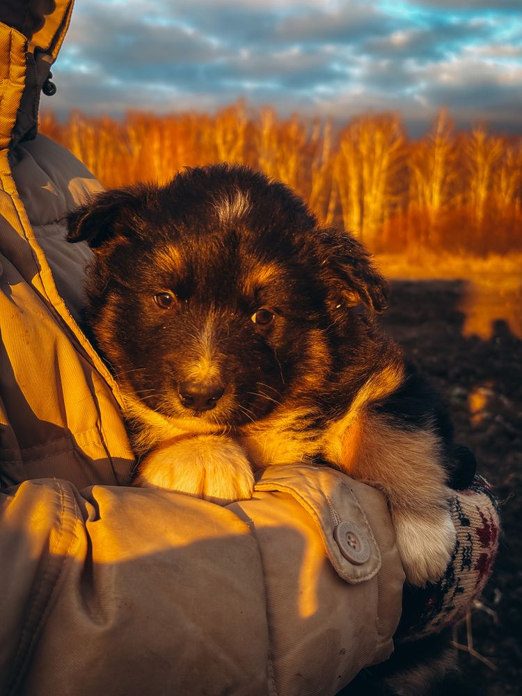 Photograph by Алёна Горошко