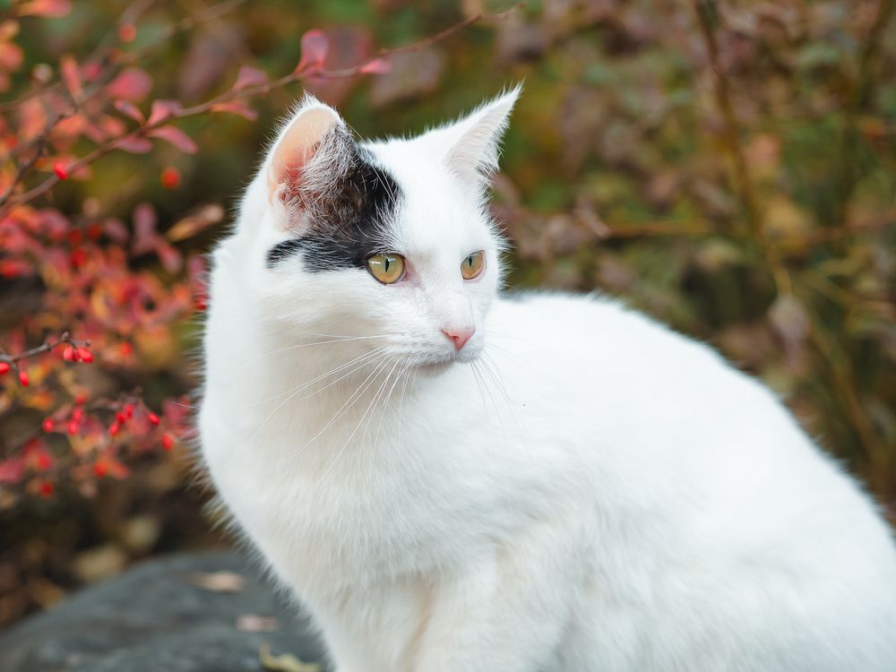 Photograph by Ирина Протченко