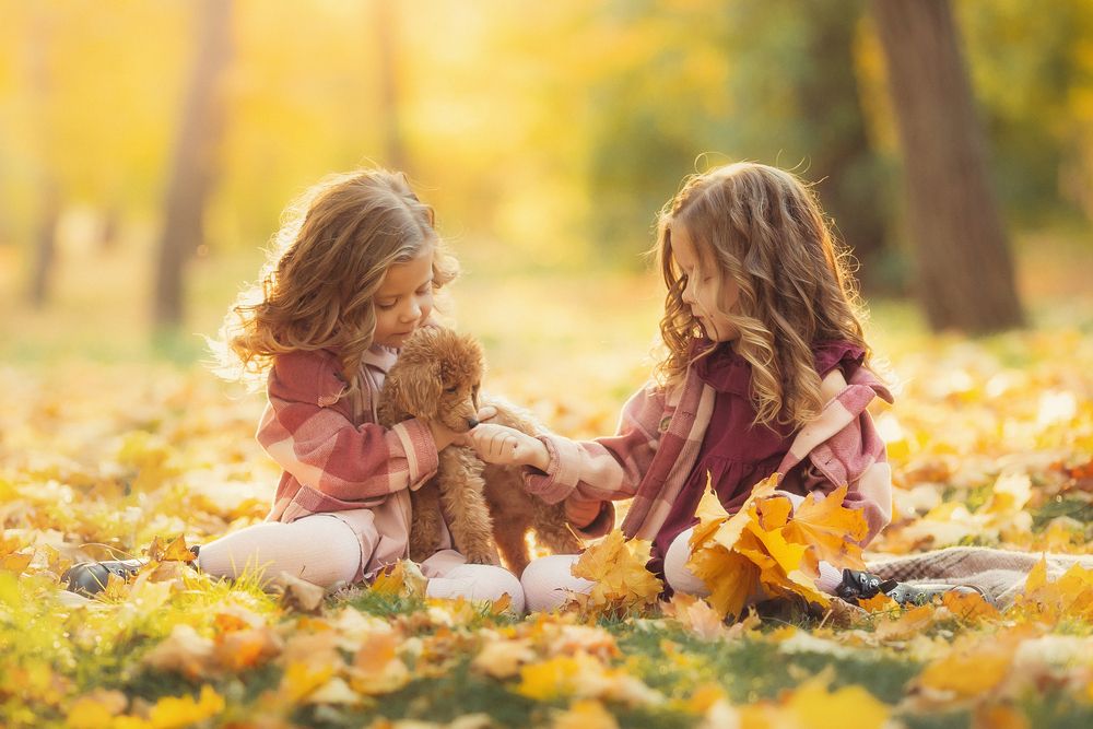 Photograph by Виктория Литвиненко