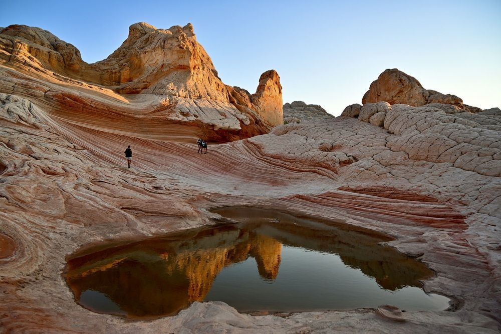 Among natural patterns