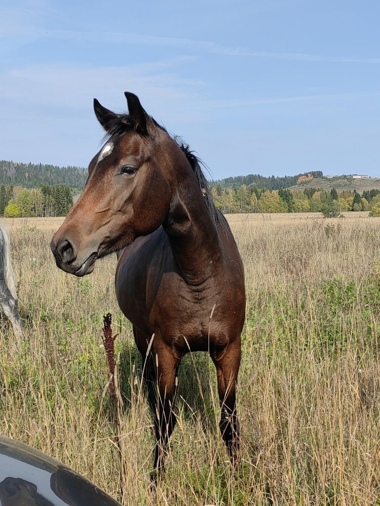 Photograph by Чкареули Светлана