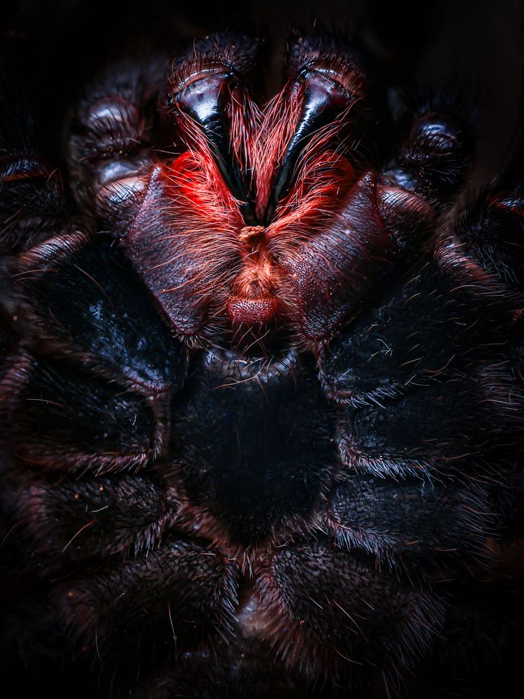 Photograph by Игорь Толкачев