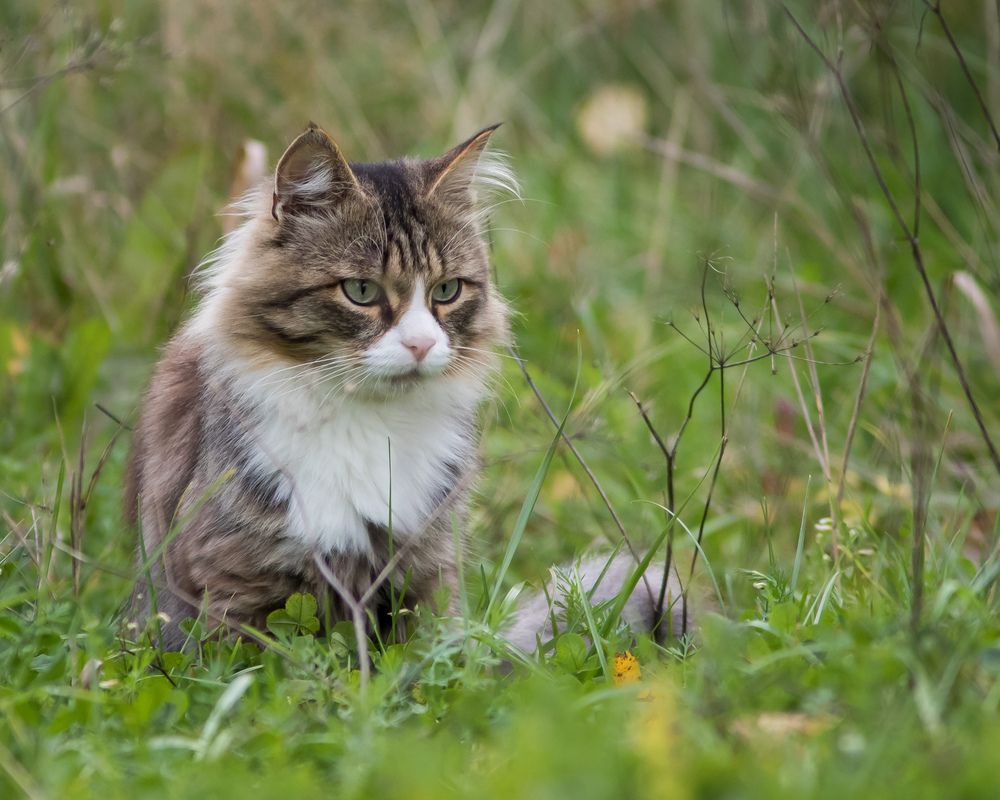 Фотография автора Суслов Дмитрий