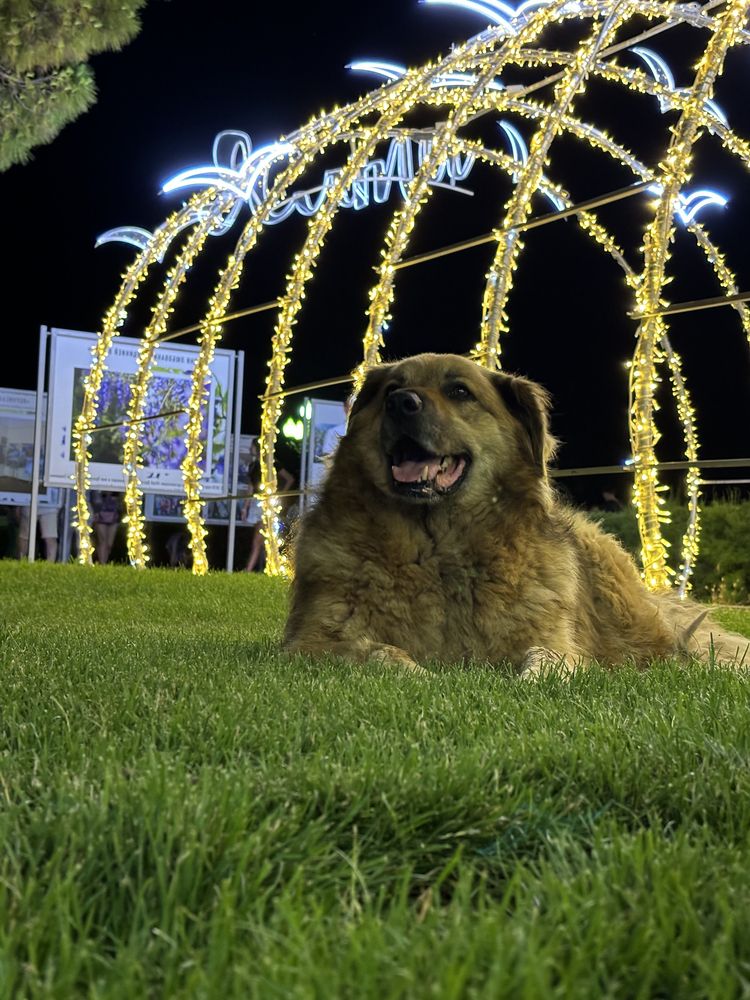 Photograph by Беловодченко