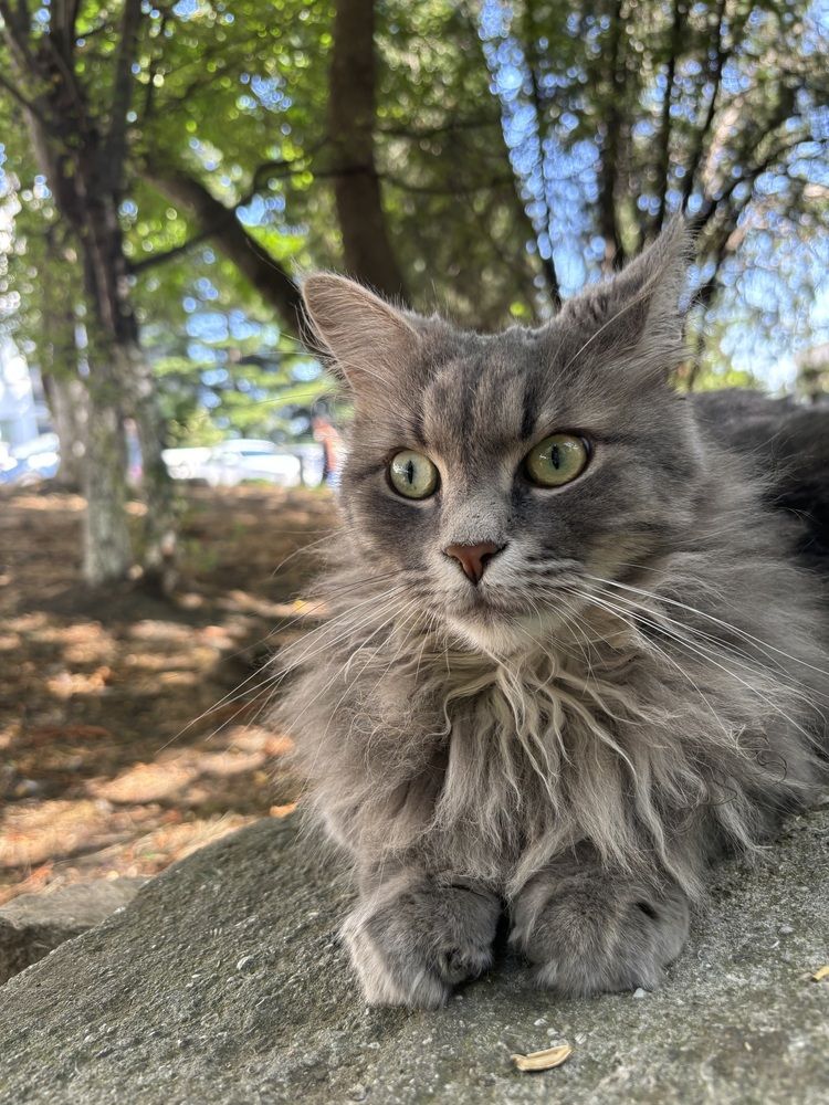 Photograph by Беловодченко