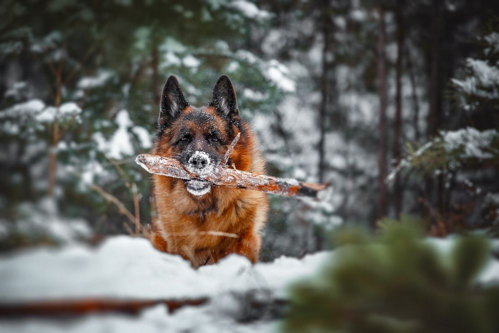 Photograph by Ольга Калимулина