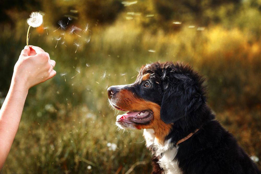 Photograph by Ольга Калимулина