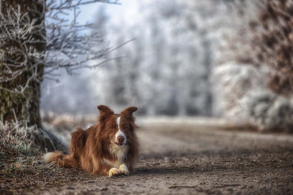 Photograph by Guy Krier