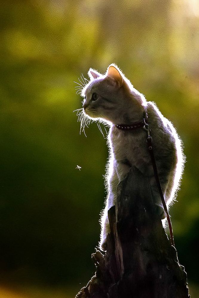 Photograph by Ольга Калимулина