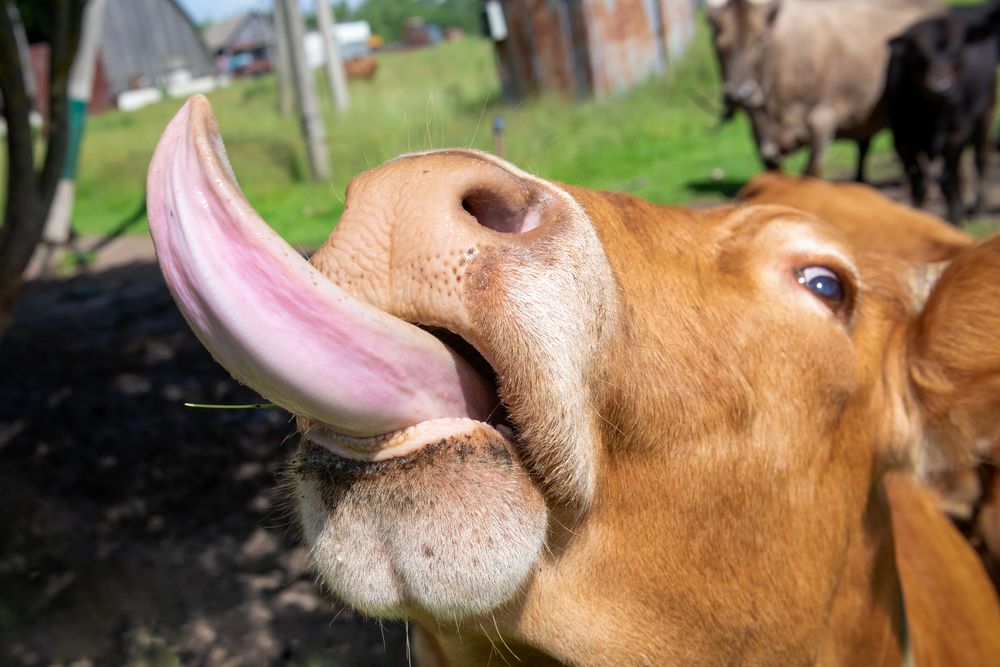 Photograph by Константин Пухов