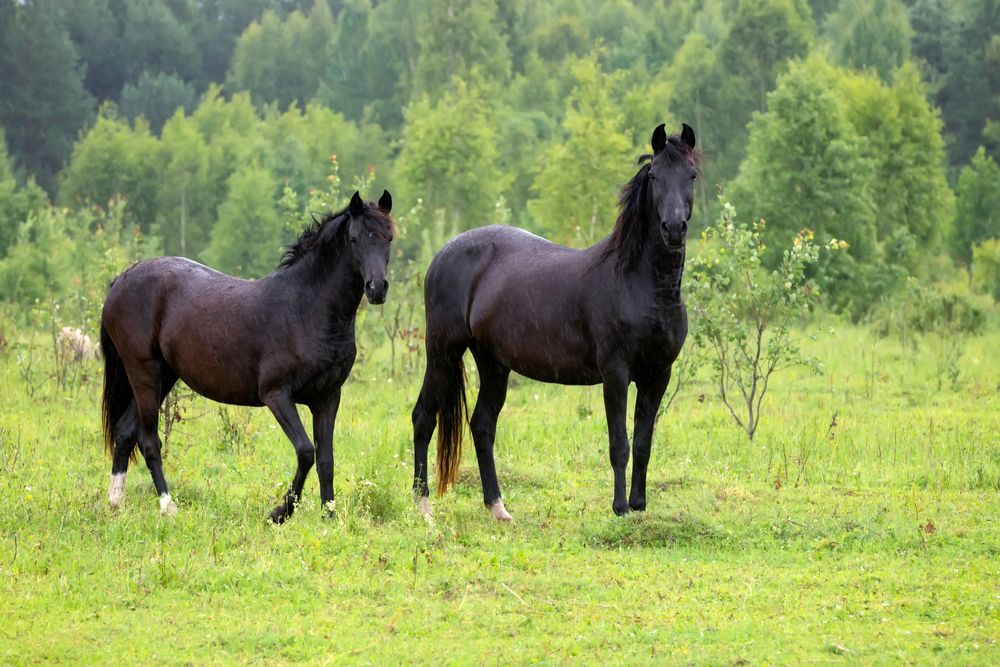 Photograph by Константин Пухов