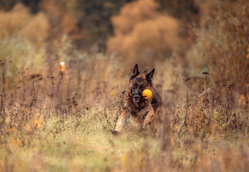 Photograph by Милана Бабченко