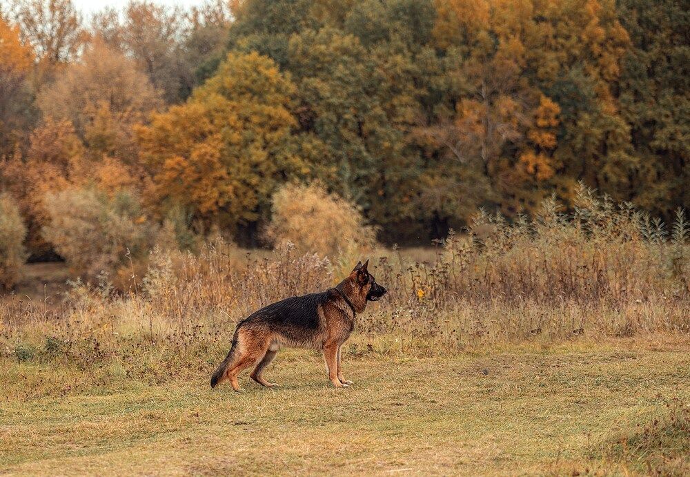 Photograph by Милана Бабченко
