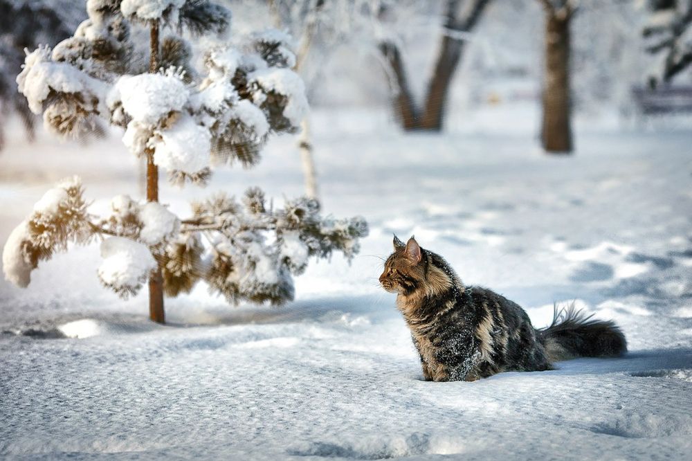 Photograph by Ольга Калимулина