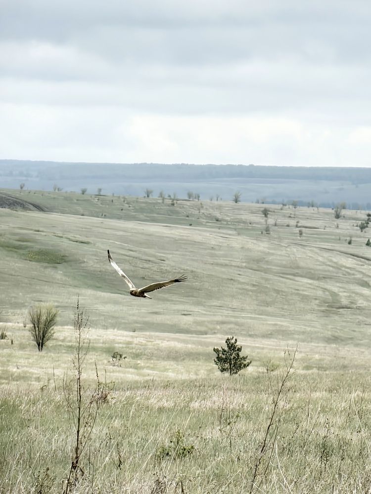 Photograph by Кристина Кублашвили