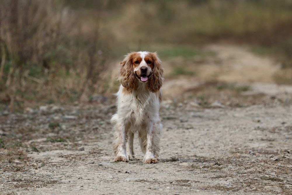 Photograph by Наталья Никитенко