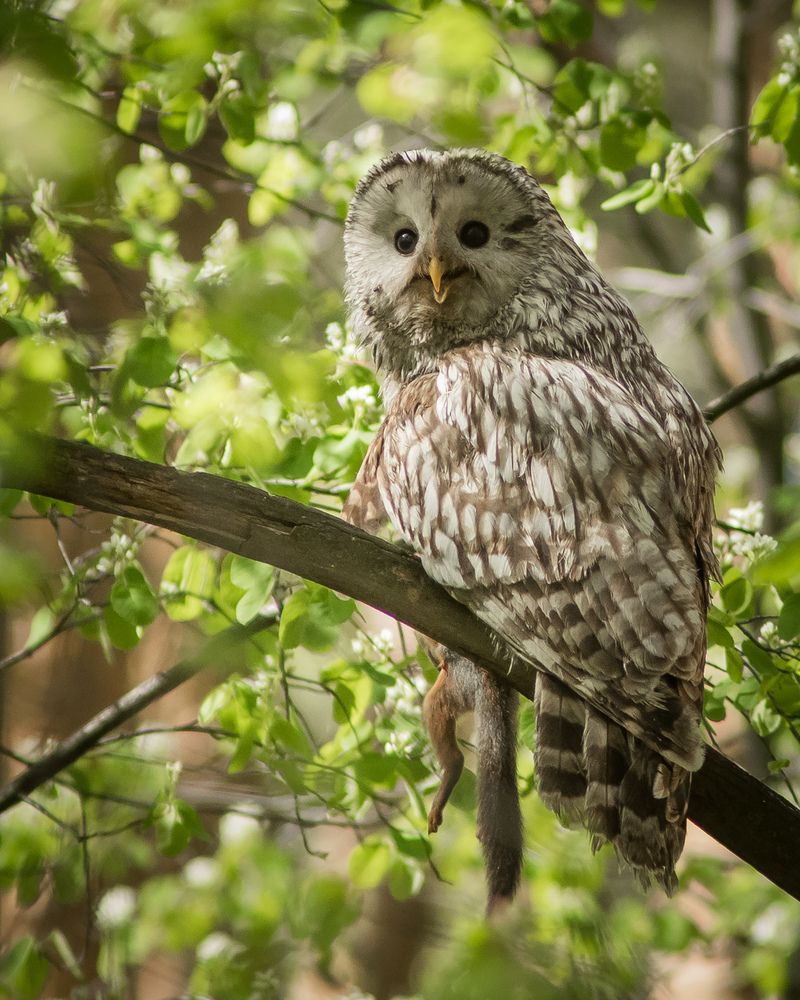 Фотография автора Суслов Дмитрий