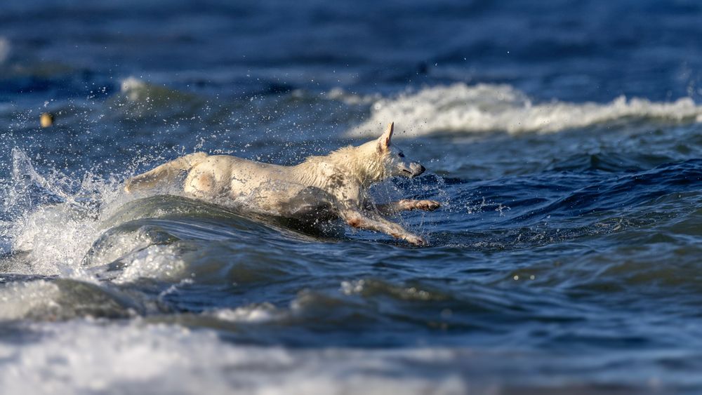 Photograph by Liu Lock