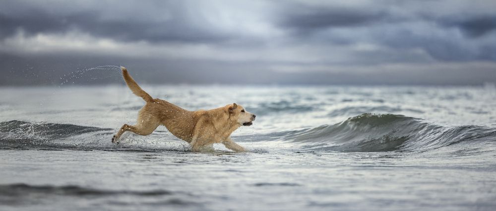 Photograph by Liu Lock