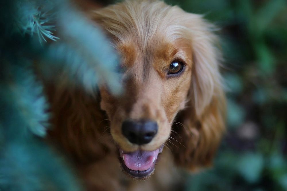 Фотография автора Виктория Лисякова