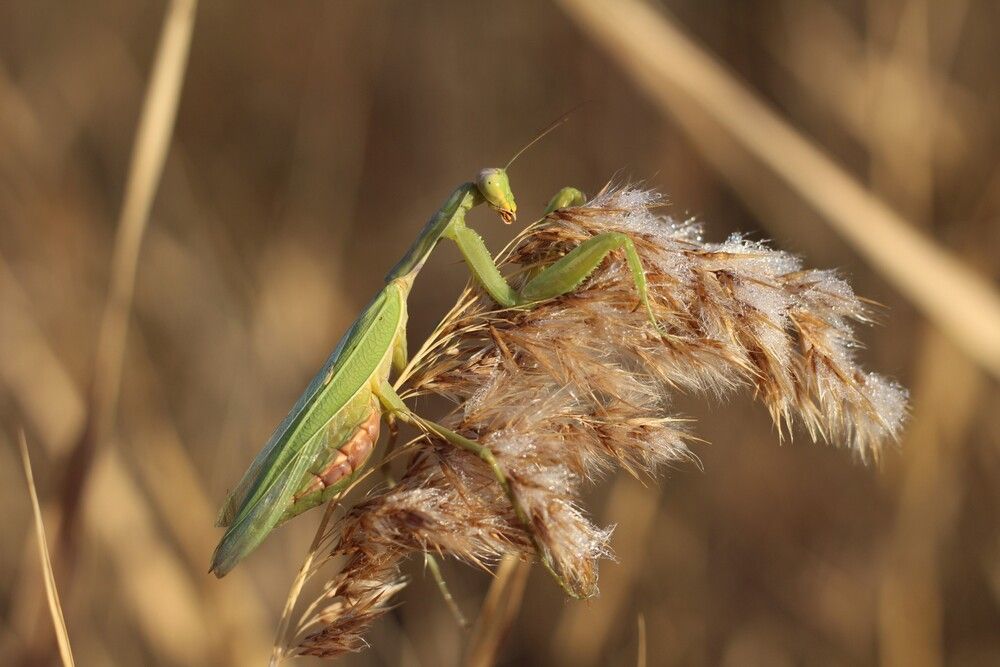 Photograph by Любовь Войводич