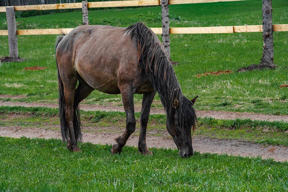 Photograph by Людмила Баймухаметова