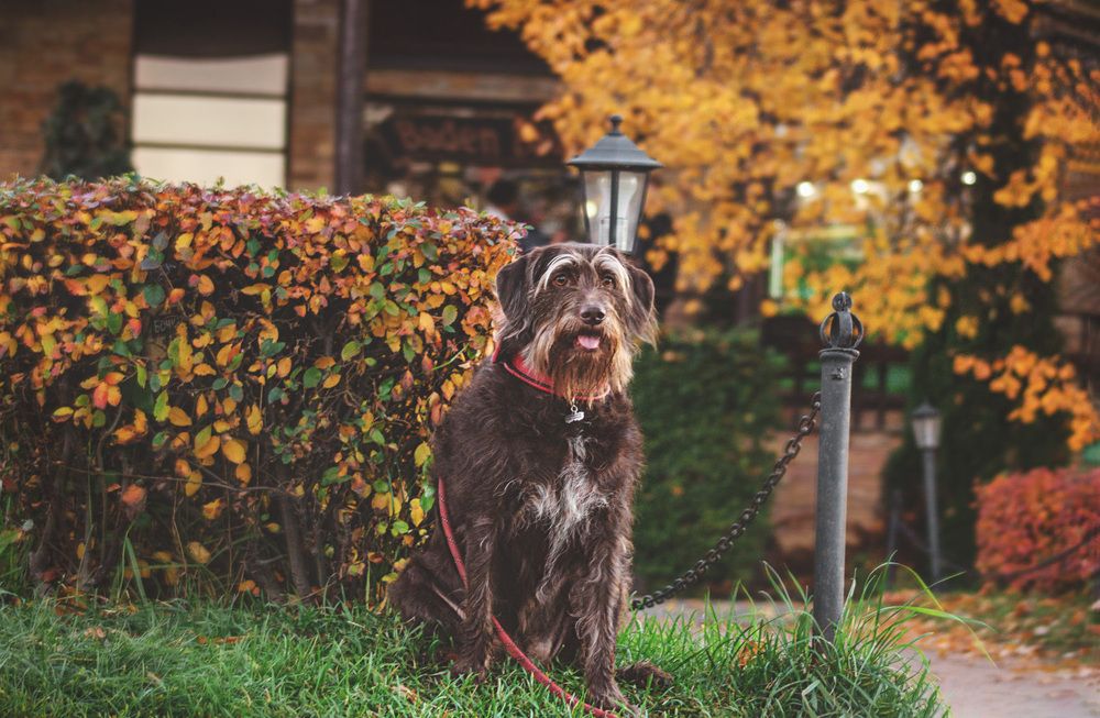 Photograph by Алла Андреева