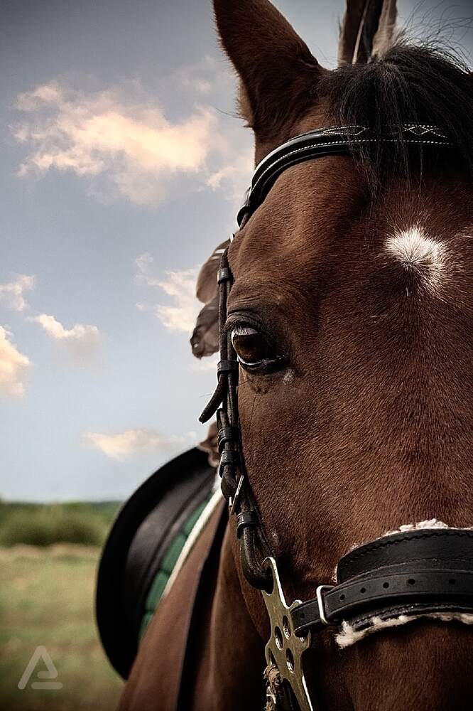 Photograph by Aleksandra Alekseeva