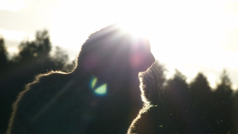 Photograph by Егор Чинарев