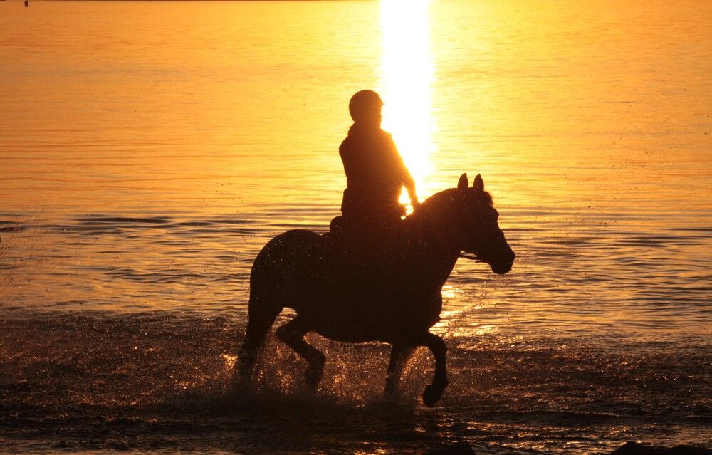 Photograph by Павел Швецов