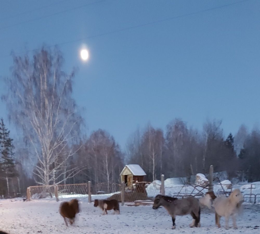 Photograph by Татьяна Гатиятуллина