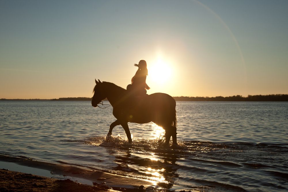 Photograph by Павел Швецов