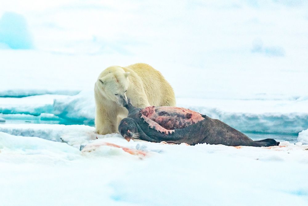 Photograph by Власов Егор