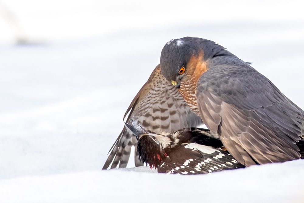 Photograph by Власов Егор