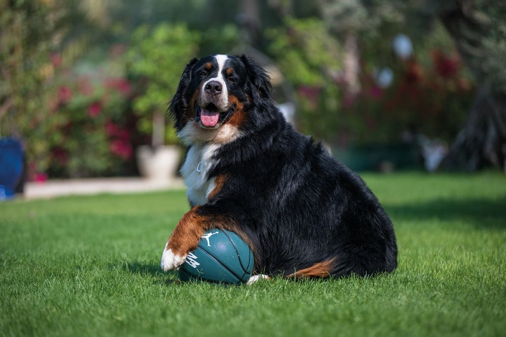 Photograph by Демьян Лопатов