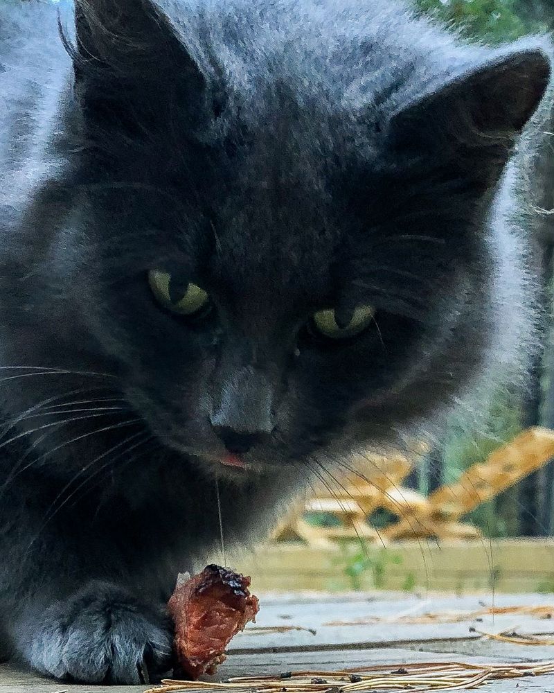 Photograph by Svetlana Tolkunova