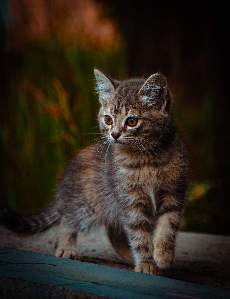 Photograph by Юрий Остапенко