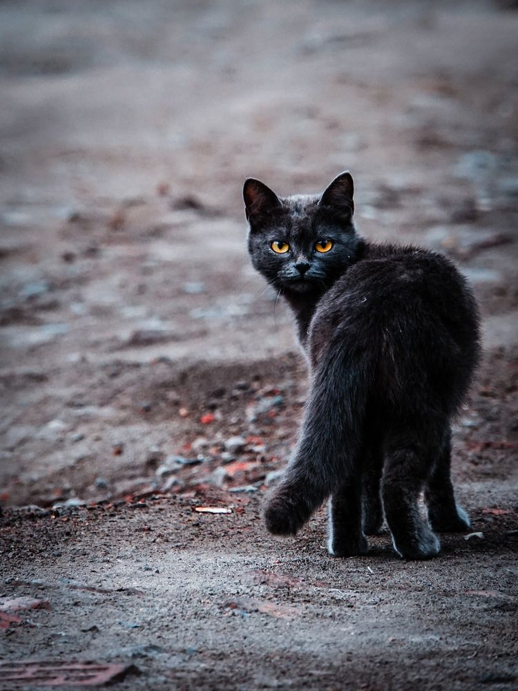 Photograph by Юрий Остапенко