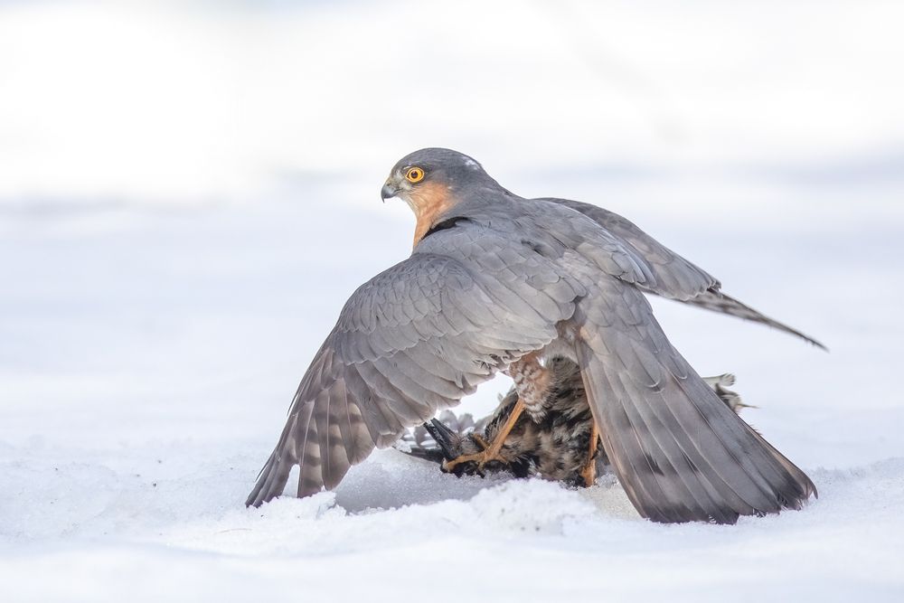 Photograph by Власов Егор