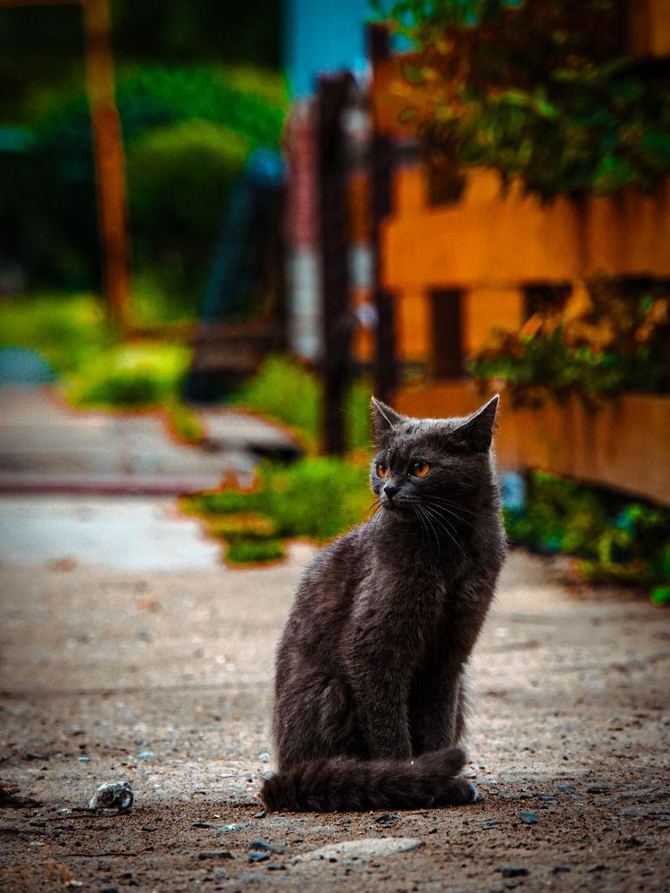 Photograph by Юрий Остапенко