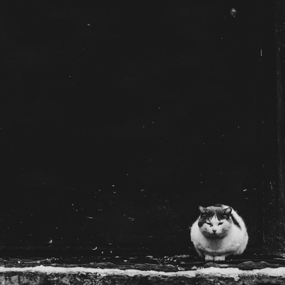 Photograph by Юрий Остапенко