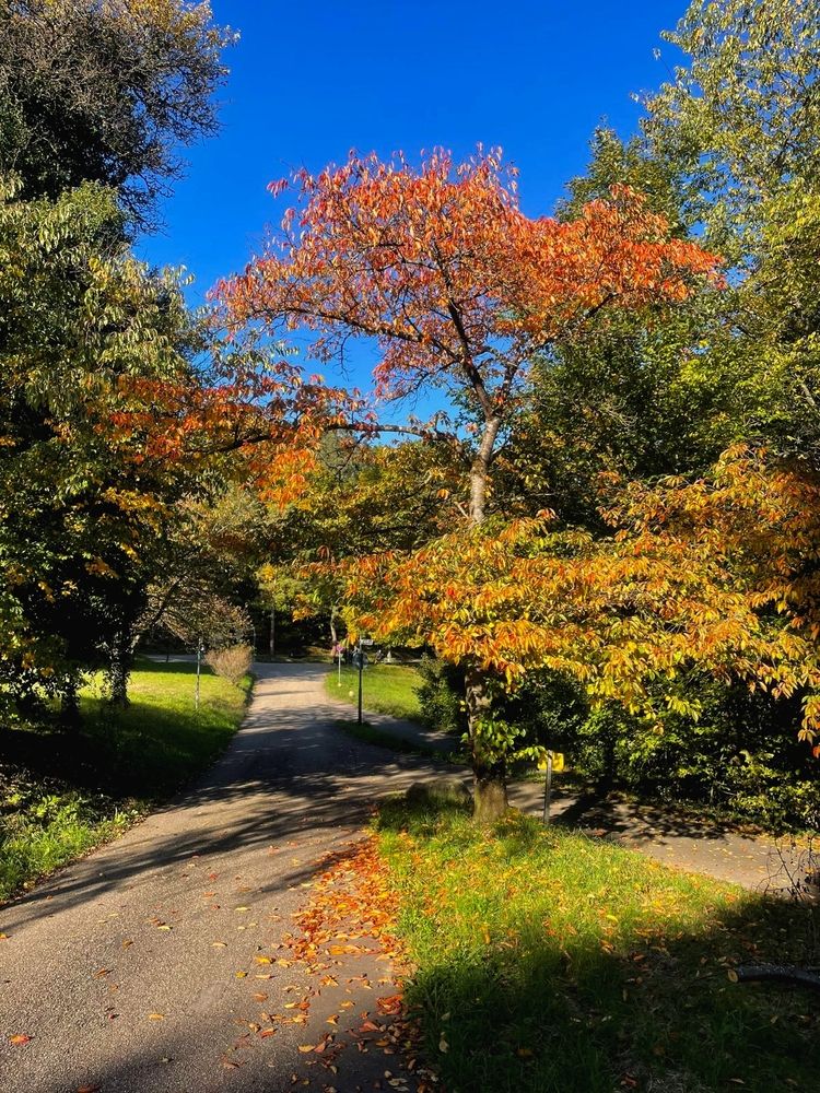 Photograph by Елена Чурынина