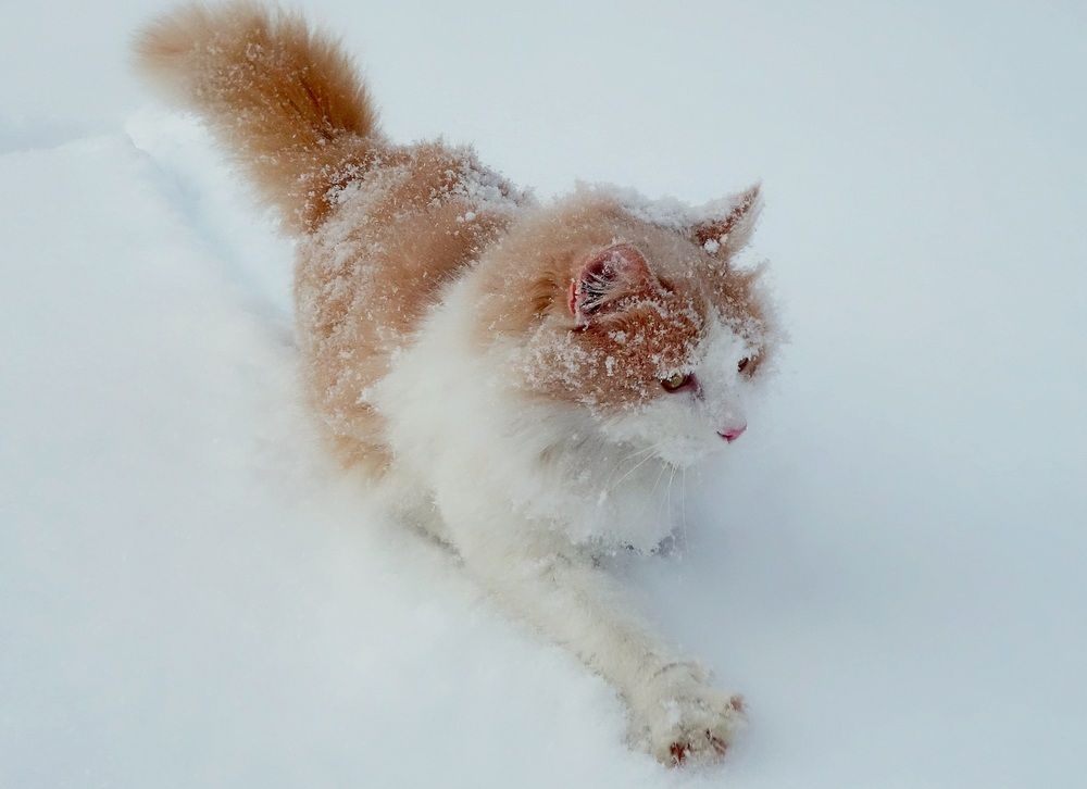 Photograph by Виктор Решетников