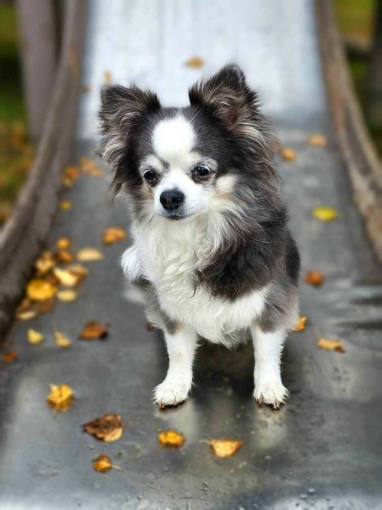 Любопытство.