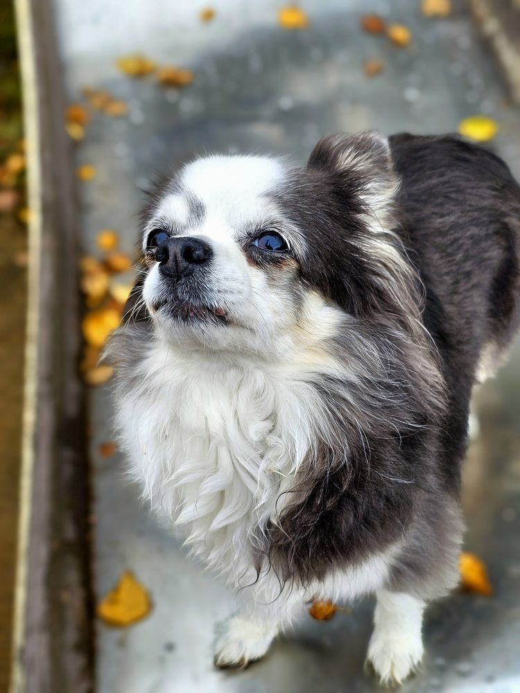 А,что там летит?
